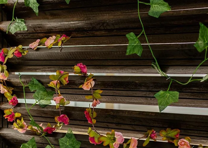 아파트호텔 Pasham 4*